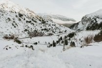 Pittoresca vista sulle alte montagne con alberi nella neve nei Pirenei — Foto stock