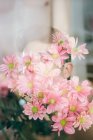 Doppia esposizione di bruna giovane ragazzo e bouquet di fiori freschi guardando la fotocamera su sfondo sfocato — Foto stock