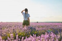 Молода жінка стоїть між фіолетовим лавандовим полем — стокове фото