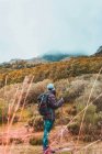 Vue arrière d'une personne avec sac à dos sur prairie, ciel nuageux et vue sur les montagnes avec forêt à Isoba, Castille et Léon, Espagne — Photo de stock