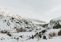 Живописный вид высоких гор с деревьями в снегу в Пиренеях — стоковое фото
