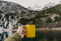Людині, яка тримає жовту чашку біля дивовижної поверхні води між високими горами з деревами в снігу і хмарному небі в Піренеях. — стокове фото