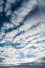From below shot of soft white clouds floating on bright blue sky in Navarre, Spain — Stock Photo