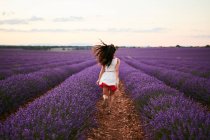 Jeune femme courant entre champ de lavande violette — Photo de stock
