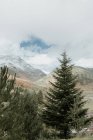 Vue pittoresque sur la vallée avec des bois de conifères et de magnifiques montagnes dans la neige dans les Pyrénées — Photo de stock