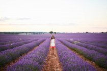 Junge Frau geht zwischen Reihen violetten Lavendelfeldes — Stockfoto