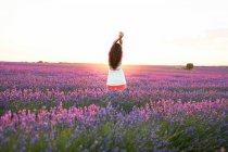 Вид спереду молодої жінки між фіолетовим лавандовим полем — стокове фото