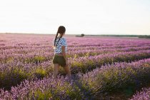 Молодая женщина ходит между фиолетовым лавандовым полем — стоковое фото