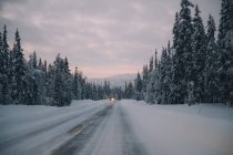 Далекий автомобиль с светящимися фарами на снежной асфальтовой дороге рядом с хвойным лесом в удивительной сельской местности Арктики — стоковое фото