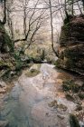 Litoral perto de pequeno lago e árvores nuas com água tranquila no dia ensolarado de outono em Navarra, Espanha — Fotografia de Stock