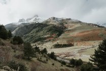 Pintoresca vista del valle con bosques de coníferas y maravillosas montañas en la nieve en los Pirineos - foto de stock