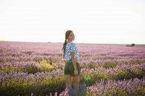 Молода жінка ходить між фіолетовим лавандовим полем — стокове фото