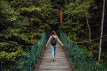 Back view young slim lady with backpack going on hanging bridge to verdant exotic woods in Malaysia — Stock Photo