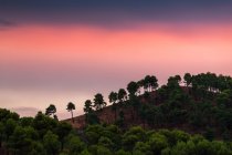Herrlicher Abendhimmel über Hügeln und grünen Bäumen in majestätischer Landschaft — Stockfoto
