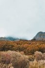 Vue pittoresque d'une montagne par temps nuageux à Isoba, Castille et Léon, Espagne — Photo de stock