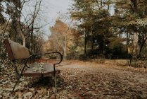 Vista lateral do assento envelhecido no beco entre folhas caídas na floresta — Fotografia de Stock