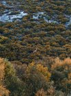 Reno salvaje de arriba entre prados verdes en Isoba, Castilla y León, España - foto de stock