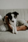 Ragazza adolescente con cucciolo carino sul divano — Foto stock