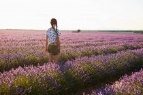 Mujer joven de pie entre violeta lavanda campo - foto de stock