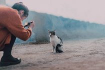 Young photographer woman taking shot of homeless abandoned cat in in Chefchaouen, Morocco — Stock Photo