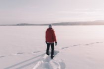Rückansicht einer Person in warmer Kleidung, die in einem riesigen, mit Neuschnee bedeckten Feld in der arktischen Landschaft steht — Stockfoto