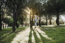 Вид сзади на молодую женщину в спортивной одежде, бегающую в городском саду летом — стоковое фото