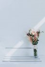 Wunderschöne frische Blumen in der Vase — Stockfoto