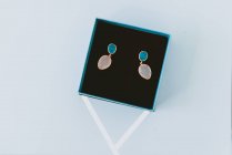 Beautiful earrings in box — Stock Photo