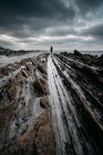 La silueta de la persona irreconocible de pie sobre la superficie rocosa áspera cerca del mar en el día nublado - foto de stock