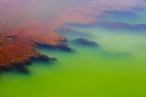 Multicolored mineral stratum on river — Stock Photo