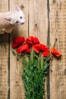 Dall'alto gattino adorabile su superficie di legno vicino a mazzo di papaveri rossi lucenti . — Foto stock
