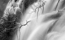 Прекрасный водопад рядом с деревом — стоковое фото