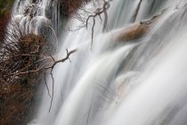 Cachoeira maravilhosa perto da árvore — Fotografia de Stock