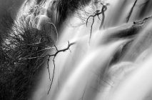 Maravillosa cascada cerca del árbol - foto de stock