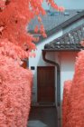 Яскраві інфрачервоні дерева, що ростуть біля прекрасних будинків на тихій приміській вулиці в Лінці (Австрія). — стокове фото