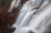 Maravillosa cascada cerca del árbol - foto de stock