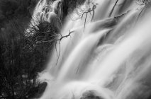 Cachoeira maravilhosa perto da árvore — Fotografia de Stock