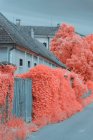 Árvores infravermelhas brilhantes crescendo perto de casas encantadoras na tranquila rua suburbana em Linz, Áustria — Fotografia de Stock