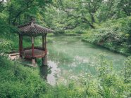 Teich mit Seerosen in herrlichem Park — Stockfoto