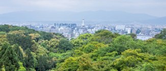 Majestic drone view of green forest tree and fantastic metropolitan city in Japan — Stock Photo