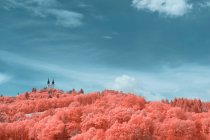 Удивительные инфракрасные деревья растут в прекрасной роще против яркого неба в Линце, Австрия — стоковое фото