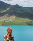 Милая большая собака в красном венке сидит на стоге камней возле спокойного озера и зеленый холм в облачный день в Тибете — стоковое фото