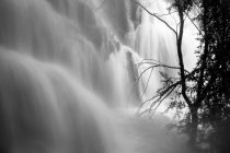 Прекрасный водопад рядом с деревом — стоковое фото