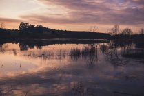 Хмарне вечірнє небо над спокійним озером у сільській місцевості — стокове фото