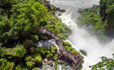 Вид с воздуха на группу туристов, стоящих на террасе возле водопада Игуасу в Аргентине — стоковое фото