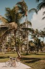Bicicleta Vintage cerca Hermosas palmeras altas creciendo contra el cielo nublado en el majestuoso día ventoso en Miami - foto de stock