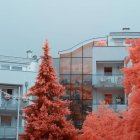 Helle Infrarotbäume wachsen in der Nähe schöner Häuser an einer ruhigen Vorstadtstraße in Linz, Österreich — Stockfoto
