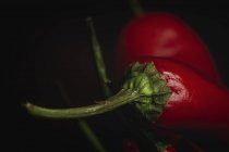 Close-up of fresh red spicy chilli peppers on black background — Stock Photo