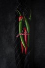 Fresh tied with twine red and green spicy chilli peppers on kitchen towel on black background — Stock Photo