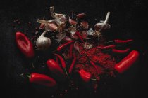 Fresh red chilli peppers, garlic cloves and spices on black background — Stock Photo